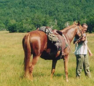 Esperti di equitazione